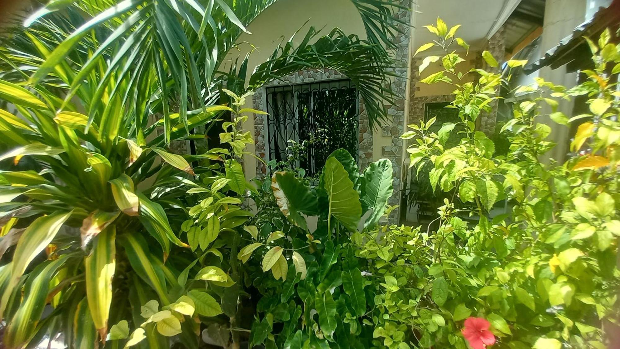 Mount Zion Guest House, Mtwapa Mtomondoni 몸바사 외부 사진