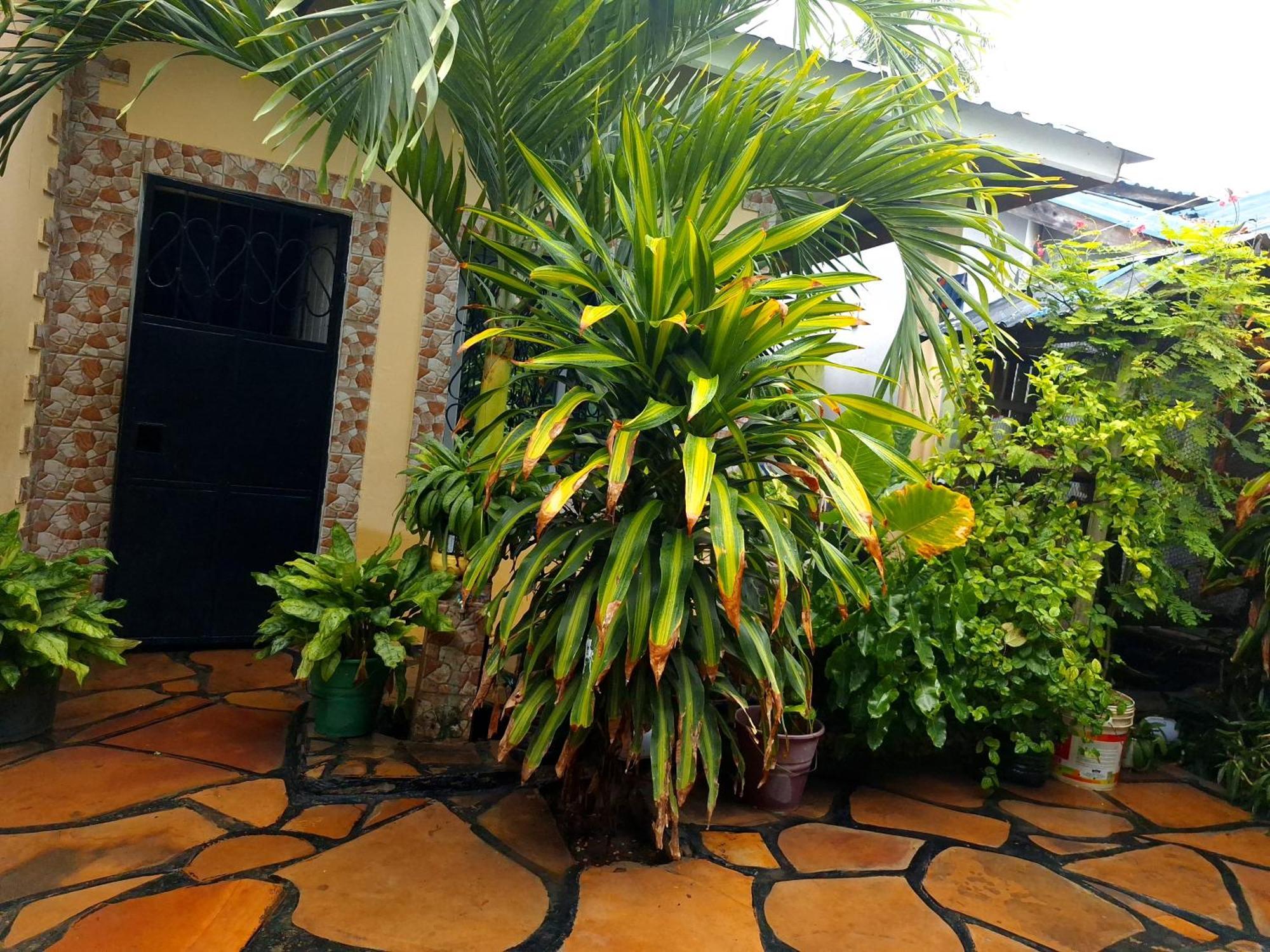 Mount Zion Guest House, Mtwapa Mtomondoni 몸바사 외부 사진
